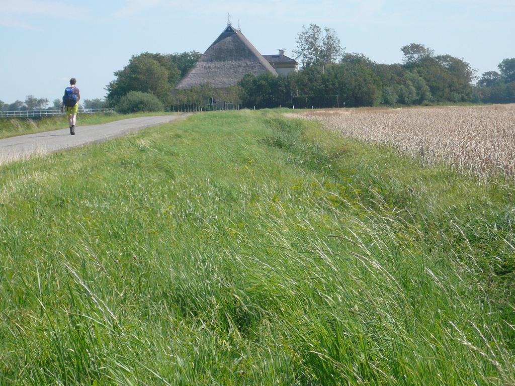 Herberg De Gekroonde Leeuw Arum Exteriör bild